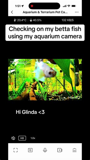 Enhance Your Aquarium Experience with HomiQ Camera