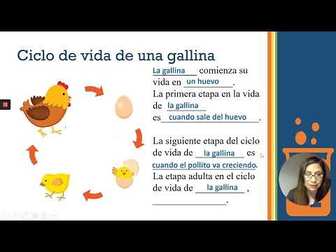 Ciclo de vida de los Animales