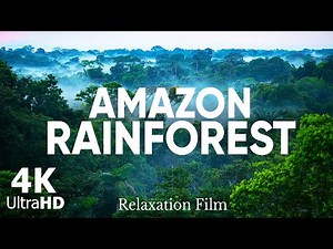AMAZON RAINFOREST in 4K ULTRA HD - Amazing Beautiful Landscape | Aerial Drone | Scenic Relaxation