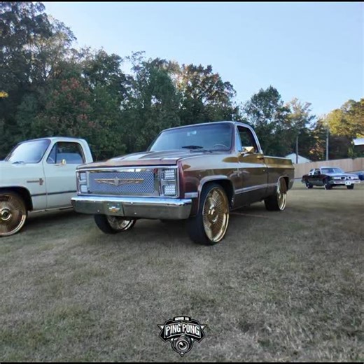 Ping! on Instagram: "Supers clean c10 shortbed on @forgiato @wheels #shortbednation #shortbedchevy #forgiatowheels"