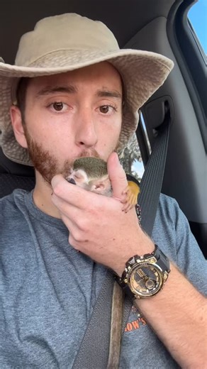 My baby girl Lily 🙈❤️ This was after her first animal encounter at 2 months old! We start them off young so they are well socialized and comfortable in many scenarios! She just turned 1 year old on May 27th and is now retired from encounters living with her Monkey family. Alfred, Leía and Mari | Shadow’s Reptiles