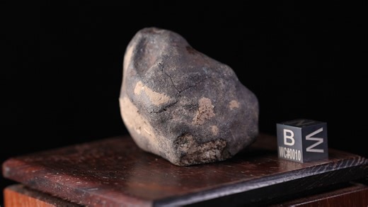 At 3:37 A.M. on January 20, 2023 a fireball was reported to be seen streaking the sky over Muskogee, OK. Meteorite hunters scrutinized Doppler radar data to triangulate the meteorite’s strewnfield. They collectively recovered five stones. Several days after the initial hunting team left the area, a local discovered a hammerstone that struck a barn roof weighing 388 grams, which was broken in two pieces. The six total recovered stones weigh a mere 1,418.7 grams. This is one of the six and the onl