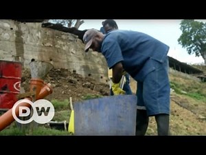 Grenada: Biogas made in jail | DW English