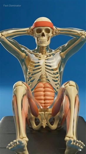 What Happens If You Do 50 Sit-Ups Every Day? #shorts