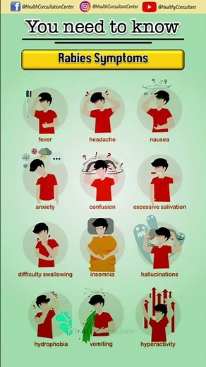 Rabies Symptoms You Should Never Ignore ⚠️ | Early Warning Signs Explained #healthylifestyle