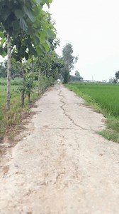 Mata Rani ki Mahima 👣🙏#shorts #emotional #maa #shortvideo #vrindavan #viralshorts #viralvideo #ytshorts | YouTuber Aditya