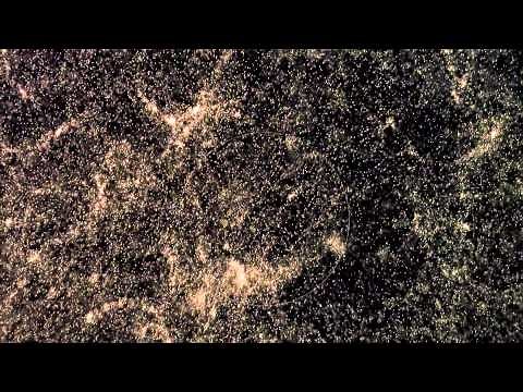 Cosmic Voyage & Miracle of Life - HD [1080p]