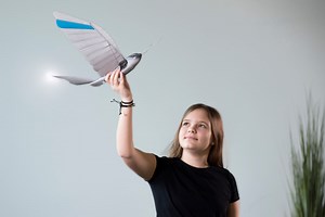 🦅 Flying like a bird - a dream of mankind! The newest “Bionic Swift Experimental Set” by #Bionics4Education is a #robotic bird inspired by the swallow. It is designed to impart relevant knowledge on the topics of bird flight, #bionics and #STEAM both in the school education environment and in the private sector. It will be available at the end of 2021 and will be presented next week at #HM21. Stay tuned! https://www.bionics4education.com/ | Festo Didactic