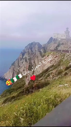 ##رحلات #سياحية من #الشرق #الجزائر الى #الغرب اقوى الرحلات معا Mouna voyage 🇩🇿🇩🇿♥️♥️🥰🇹🇳🇹🇳