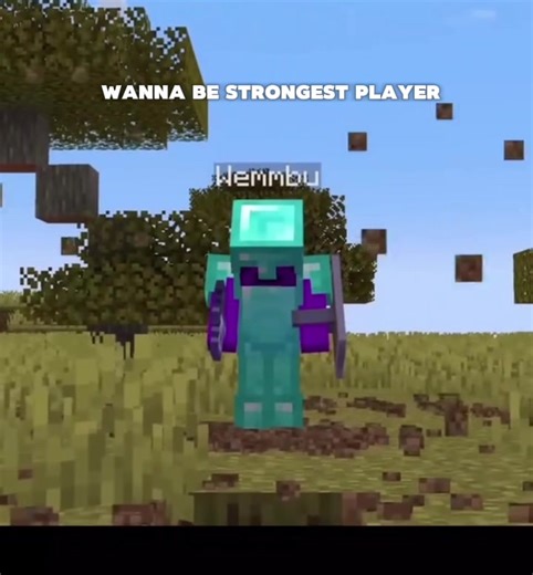 Choppy || flamefrags edit || #edit #minecraft #flamefrags #flamefragsedit #wemmbu