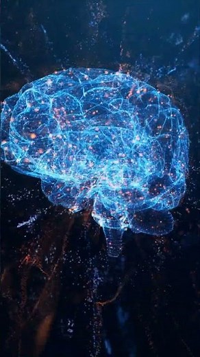 Descubriendo los secretos de los hemisferios del cerebro: Izquierdo vs. Derecho