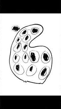 Click-Clack-Empty - Rhythmic Experimental | Consumerism Loop