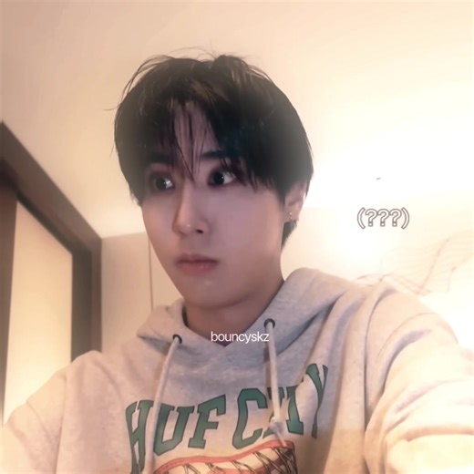 Stray Kids Love: Heartfelt Moments with Han Ji Sung