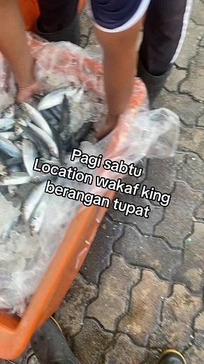 mir mir (@mir.mir833)’s videos with original sound - mir mir