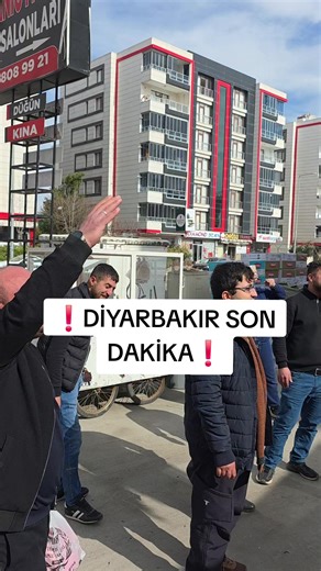 PELUS AYICIKLAR Sadece 100₺ İle!