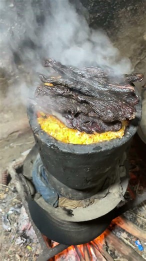 Wier này có triệu đô không các bạn trẻ ơi