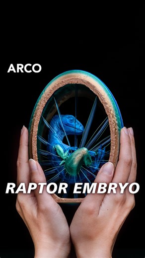 13K views · 150 reactions | Ever wonder what it looks like inside a...