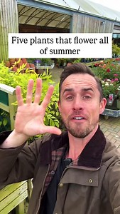 5 Plants that flower all summer Hardy Geraniums not the annual version They have Pollinator-friendly blooms throughout summer and into autumn and many will grow happily in partial shade or sun Erigeron or campanula Ideal for planting in the crevices of walls, steps and paving stones. Sweet peas These popular annuals can begin flowering as early as May. For colour all summer long Penstemon If you’re looking for instant colour, penstemons are the answer. Plant in groups of three or five for impact