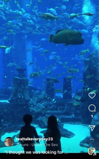 I thought we was looking for Nemo..." 😭🐠 Dubai Aquarium gone wrong 😂
