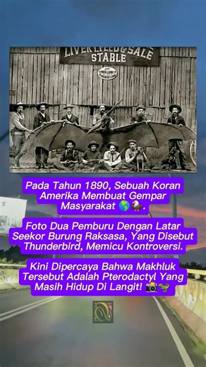 Misteri Thunderbird: Foto Pterodactyl yang Menggemparkan Dunia