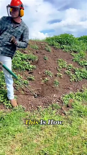 Tech Hub on Instagram: "How Americans handle gophers! 🇺🇸 This pressurized gas method clears out entire underground tunnel networks in seconds without using harmful poisons or contaminating the soil. It's efficient, eco-friendly, and surprisingly satisfying to watch. Is this the ultimate way to deal with rodents? 🚜💨 #pestcontrol #farminglife #gopher #agriculture #usa ecofriendly"