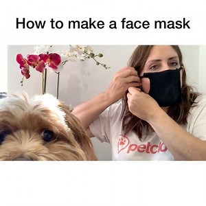 3 comments | How to make your own face mask  Step 1. Get a clean sock Step 2. Cut a section of the sock to cover the width of your face, keeping the heel of the sock at the centre. 3. Cut the tube of the sock 4. Cut slits half way down the edges of the sock 罹 these will loop over your ears. Wa-lah! A DIY face mask solution. #covid19 #facemask #diyfacemask #washyourhands #hygiene #socialdistance #petcloud Music: Blue window Musician: Jef | PetCloud | Facebook
