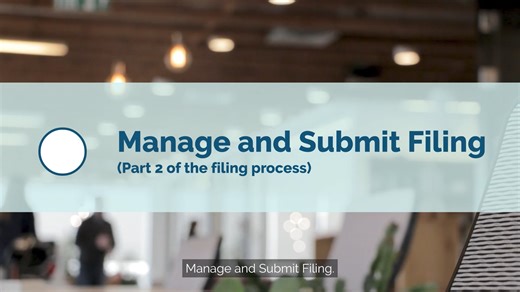 Manage and Submit Filing (Part 2)
