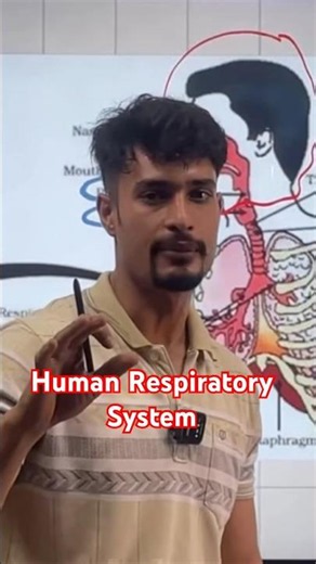 Respiration & Breathing Explained Easily | Human Respiratory System #class10biology #lifeprocesses