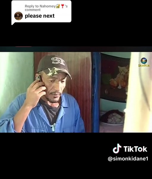 Eritrean and Habesha TikTok Videos on Habesha Bet App