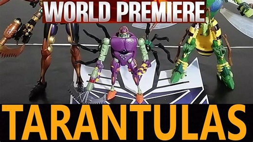 【开箱评测】Robot Toys变形金刚 RT-05 	狼蛛（BW）