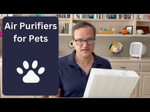 How to Choose the Best Air Purifier for Pets