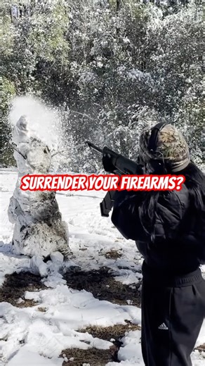 2nd Amendment Audit Fail #shorts