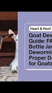 Goat Deworming Guide: Bottle Jaw, Dual Deworming & Correct Dosages