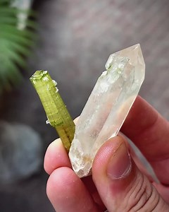 Tourmaline can become electrically charged when heated or rubbed, attracting dust and small particles—a phenomenon known as pyroelectricity! ⚡🧲💎🌈🔬 IG the_collector_choice #tourmalinepower #gemstonefacts #crystalenergy #colorfulgems #naturemagic | International Gem Society