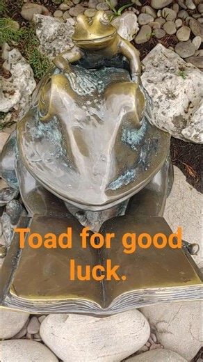 A toad brings good luck to those who rub it.