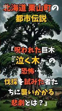 北海道 栗山町の都市伝説「呪われた巨木『泣く木』の恐怖…伐採を試みた者たちに襲いかかる悲劇とは？」 #shorts #泣く木 #呪われた巨木
