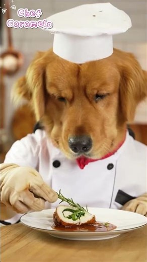 🍗 Perfect Chicken Roulade Recipe | Juicy Gourmet Chicken Roll