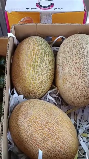 فيديوهات أنشأها سوق الأرض المباركة المركزي (@alard_almobarkah) باستخدام الصوت الأصلي - سوق الأرض المباركة المركزي