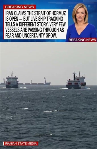They said it’s open… but nobody is moving 😳🚢