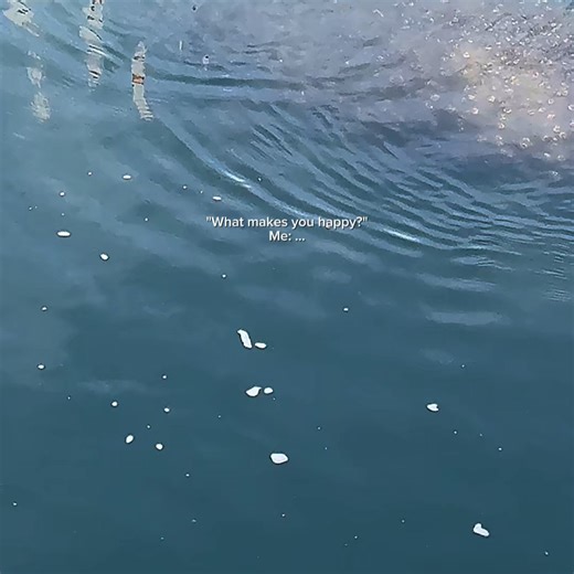 It snowed in Florida the day we went looking for manatees. Cold. Windy. Overcast. We started at Manatee Springs — the water was dark and rippled, and we caught only a glimpse or two as noses briefly broke the surface. On the way home, we decided to try once more. We stopped at the TECO Manatee Viewing Center — and everything slowed down. To capture moments like this, you have to watch beneath the surface first. Learn their rhythm. Wait for the breath. It happens fast — a second, maybe two — and 