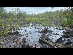 In Niger Delta communities, oil spill is impoverishing residents and devastating environment
