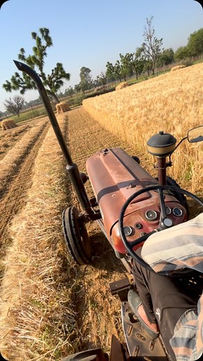 🌾 | Chahar Nehra Lalita