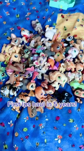 Lps Haul!! Im new and i wanna get into the lps fandom again, moots? #lps #littlestpetshop #lpshaul #customlps #lpscustom #monsterhigh #sellinglps #littlestpetshopcollection