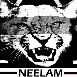 CFBC denies certification for Neelam and Director appeals against the decision