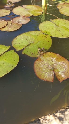 This happened so fast…