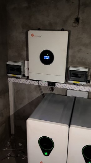 Vidéos de wagadou services (@wagadou_services) avec son original - requin Djougou