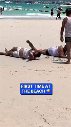 55K views · 120 reactions | Safe to say they'll be back! ️ | Daily Mail Video | Facebook