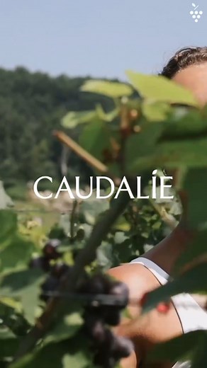 3.7K views · 170 reactions | The vineyard tells a story of resilience and transformation. The same grape that withstands harsh seasons also produces the powerful ingredients behind our serum treatments. ✨ When we shot this campaign, we wanted to bring that story to life — to show that the beauty and strength of the vine aren’t just seen in the vineyard, but cultivated into every bottle of Vinoperfect and Resveratrol-Lift.  | Caudalie | Facebook
