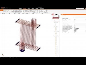 Reinforced Walking Column (ACI)