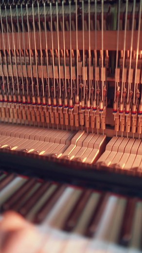 Barefoot Piano Performance: A Unique Musical Experience